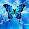 butterfly7blue